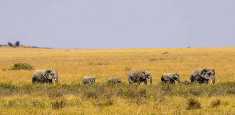 Mikumi Safari, Chizua Waterfalls & Maasai Village 3-Day Tour - Final Thoughts