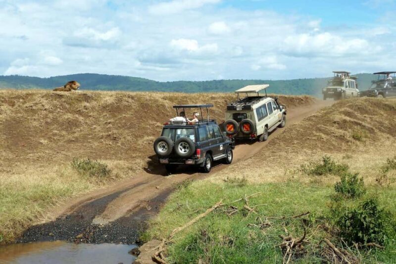 Mikumi Safari Drive - 2-Days/1 Night (Luxury) - FAQs