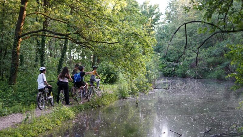 milan-bike-tour-with-picnic-on-the-turtle-lake