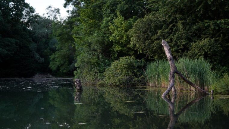 milan-bike-tour-with-picnic-on-the-turtle-lake