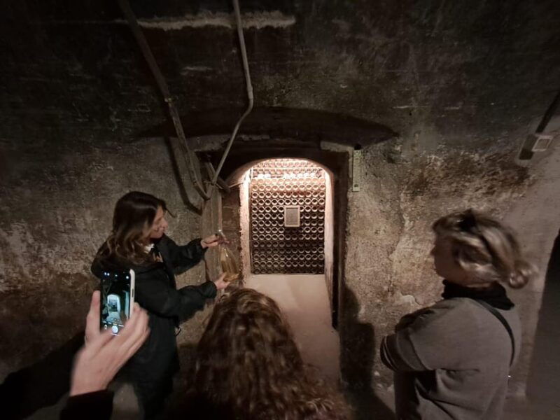 milan-brescia-franciacorta-guided-tour-with-wine-tasting