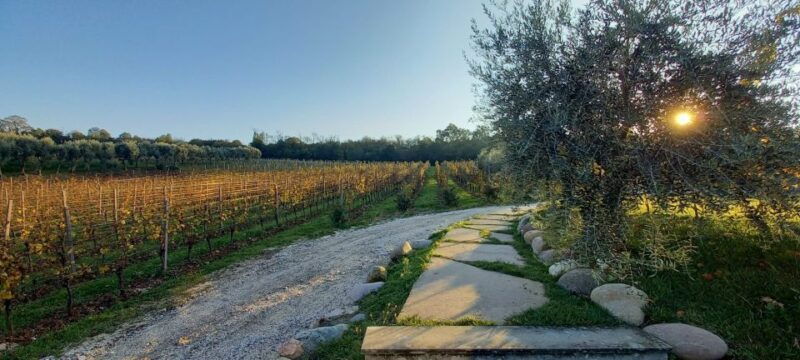 milan-brescia-franciacorta-guided-tour-with-wine-tasting
