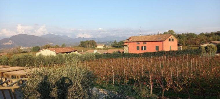 milan-brescia-franciacorta-guided-tour-with-wine-tasting