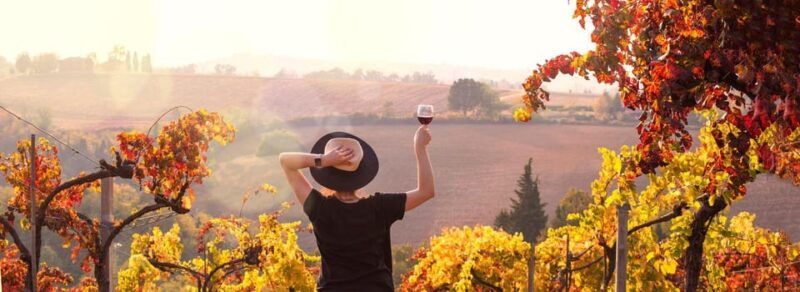 milan-day-trips-barolo-wine-tour-with-a-private-driver