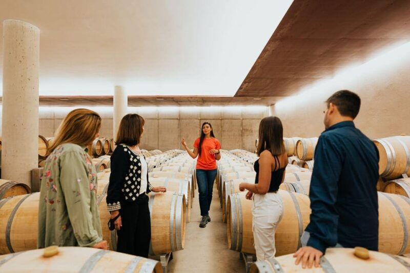 milan-day-trips-barolo-wine-tour-with-a-private-driver
