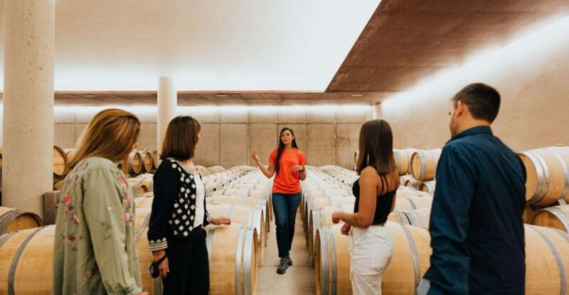 milan-day-trips-barolo-wine-tour-with-a-private-driver