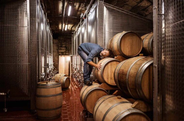 milan-day-trips-barolo-wine-tour-with-a-private-driver