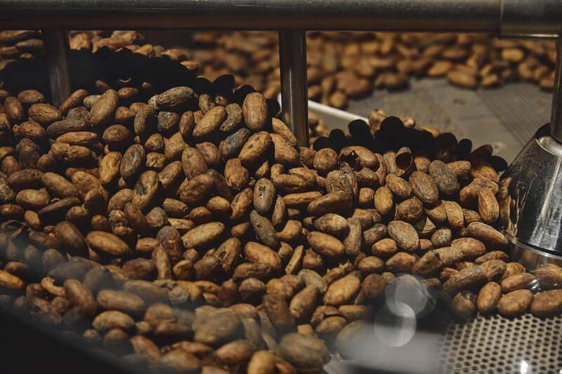 Milan: Enrico Rizzi Chocolate Factory Tour with tasting - Exploring the Journey: What You Can Expect