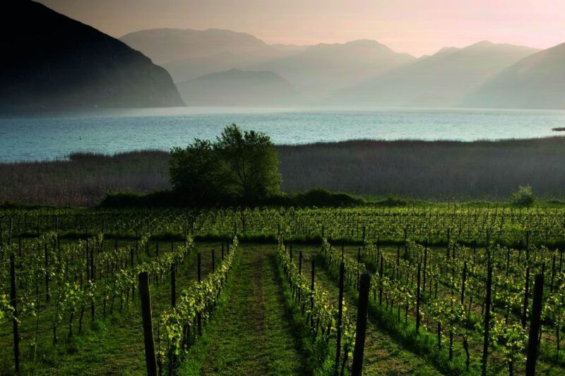 milan-franciacorta-winery-and-bergamo-day-trip-with-lunch