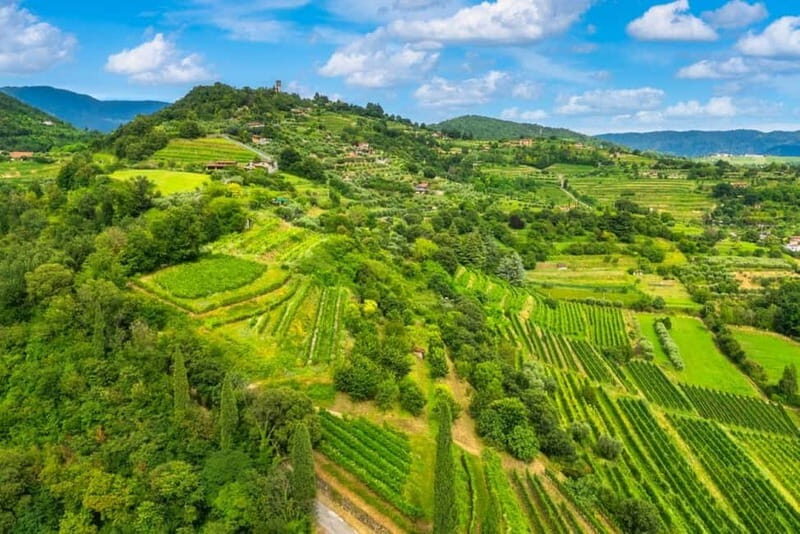 Milan: Lake Iseo & Franciacorta Wine Region with Cruise - Final Thoughts on Value