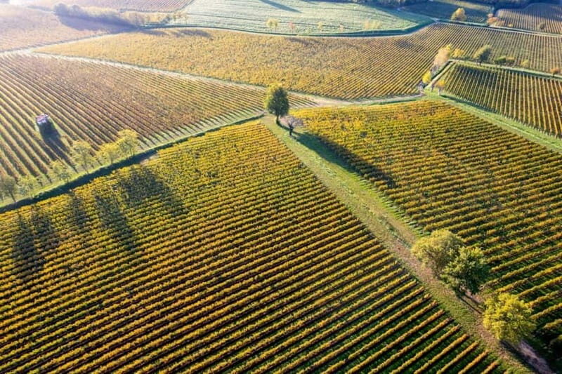 Milan: Lake Iseo & Franciacorta Wine Region with Cruise - FAQ Section