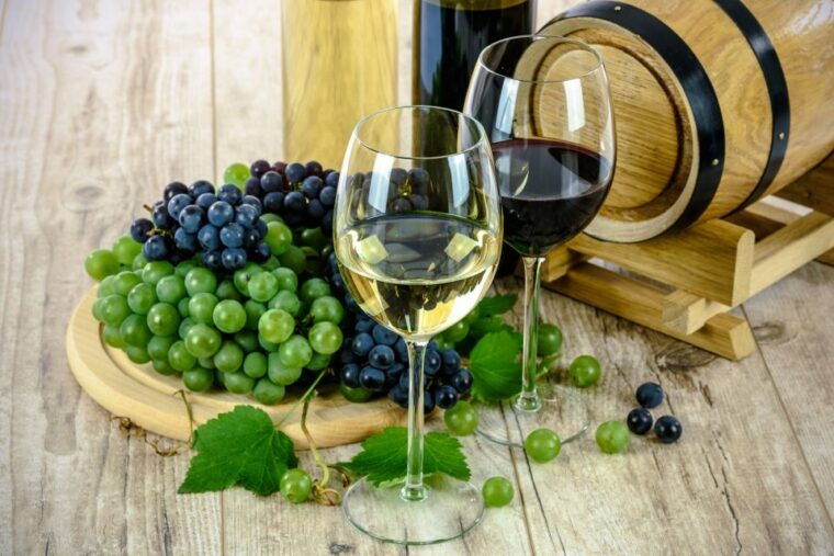 milan-wine-tasting-experience-in-the-city-centre