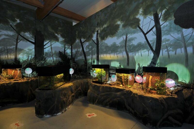 milano-marittima-butterfly-house-entry-ticket