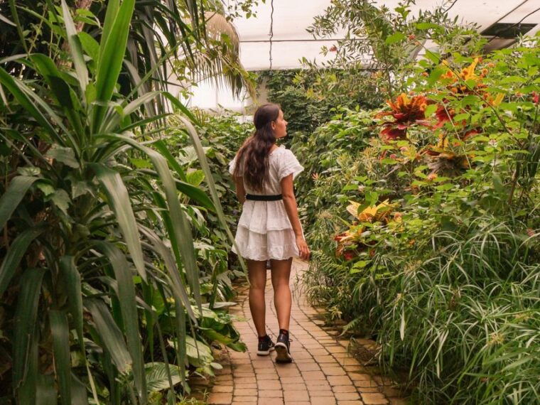 milano-marittima-butterfly-house-entry-ticket