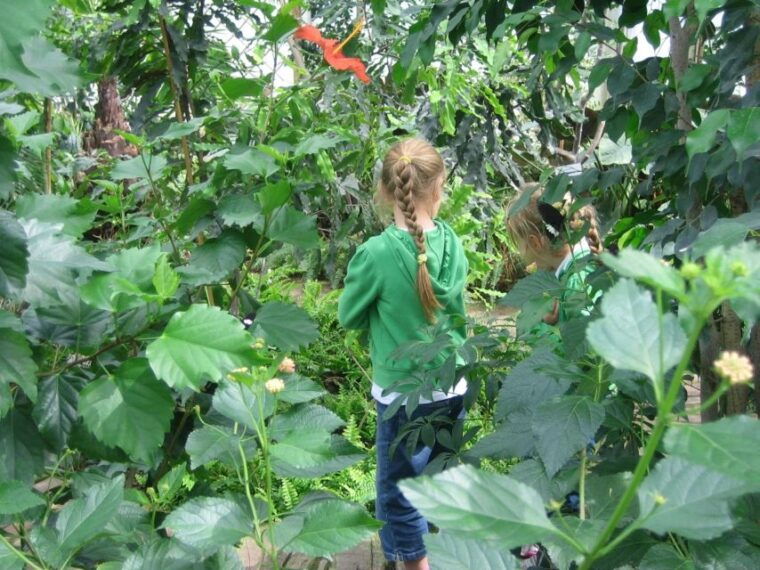 milano-marittima-butterfly-house-entry-ticket