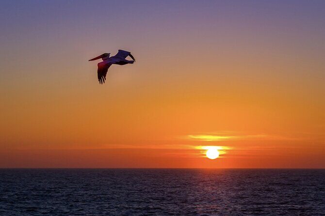 Milbi Sunset Cruise with Champagne and Prawns - Final Thoughts: Who Should Consider This Tour?