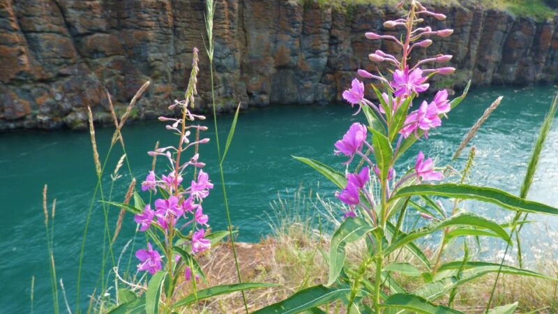 miles-canyon-self-guided-nature-tour-with-audio-guide
