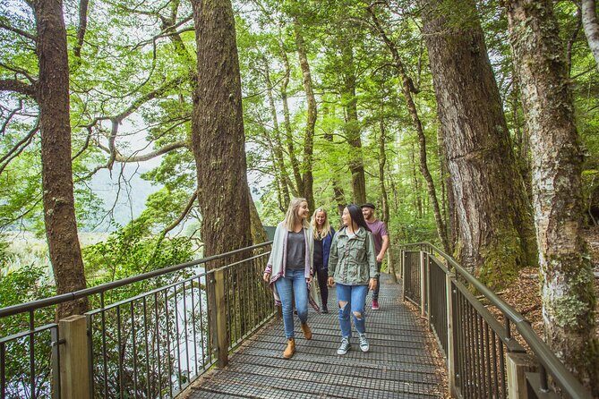 Milford Sound Coach and Cruise tour from Queenstown - A Closer Look at the Itinerary