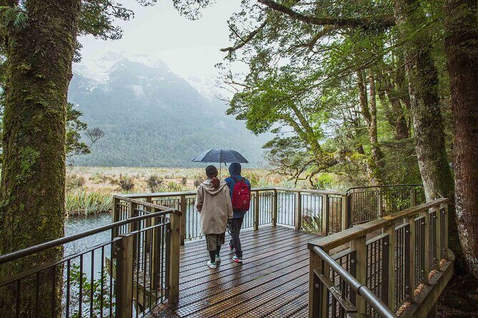 Milford Sound Coach and Cruise tour from Queenstown - What Do Travelers Say?
