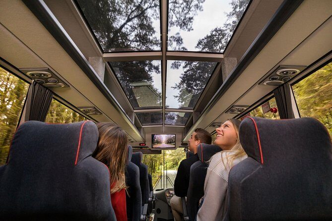 Milford Sound Coach & Cruise ex Te Anau Stunning Views with Lunch - Discovering Milford Sound: A Detailed Review of the Coach & Cruise Experience from Te Anau