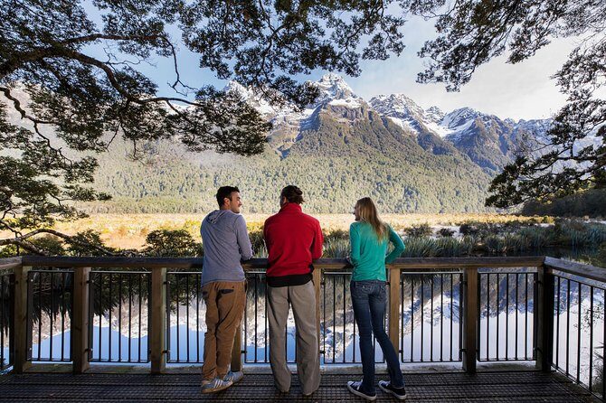 Milford Sound Coach & Cruise ex Te Anau Stunning Views with Lunch - The Full Itinerary: What to Expect