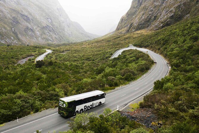 Milford Sound Cruise from Queenstown or Te Anau - Authentic Experiences from Travelers