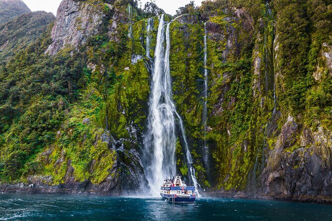 Milford Sound Cruise from Queenstown or Te Anau - Who Is This Tour Best For?