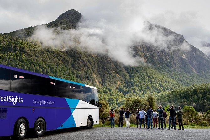 Milford Sound Day Tour from Queenstown - Is This Tour Worth It?