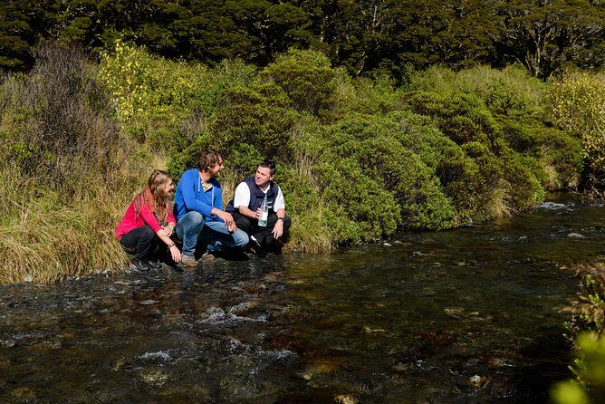 Milford Sound Day Tour with Scenic Cruise from Queenstown - Key Points