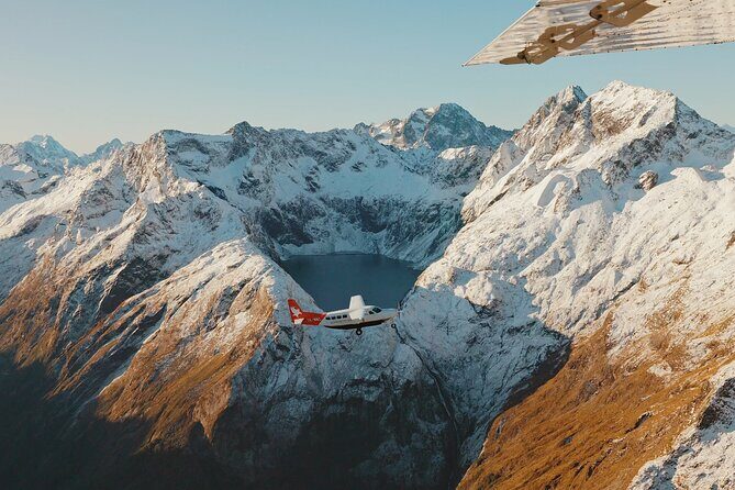 Milford Sound Day Tour with Scenic Cruise from Queenstown - An In-Depth Look at the Milford Sound Day Tour