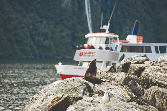 Milford Sound Extended Cruise with Southern Discoveries - Starting Point and Logistics