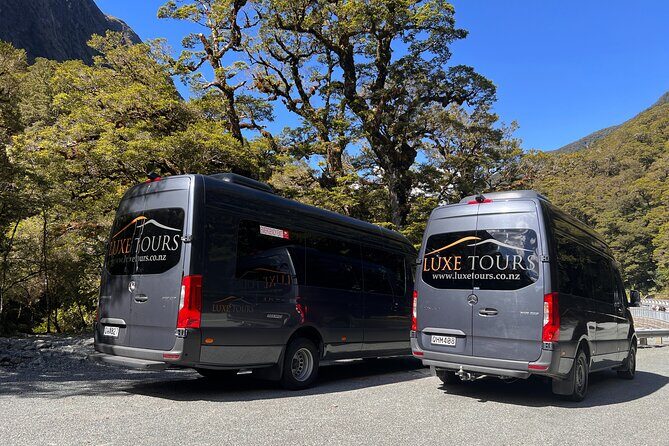 Milford Sound Full Day Tour from Te Anau with Cruise - Transport and Logistics