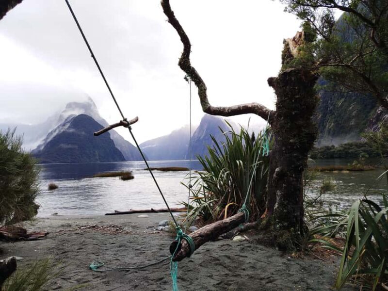 Milford Sound, Mount Cook & More: 4 Day Tour from Auckland - Key Points  