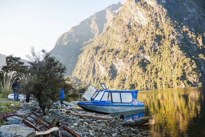 Milford Sound Nature Cruise and Self-Guided Scenic Track Walk - Authentic Insights from Reviews