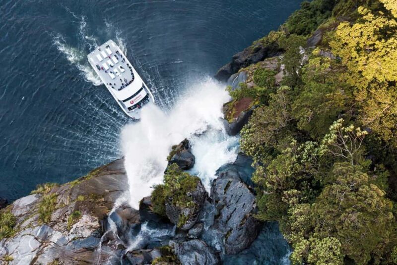 Milford Sound: Nature Cruise - Grand Views & Optional Lunch - The value of this experience