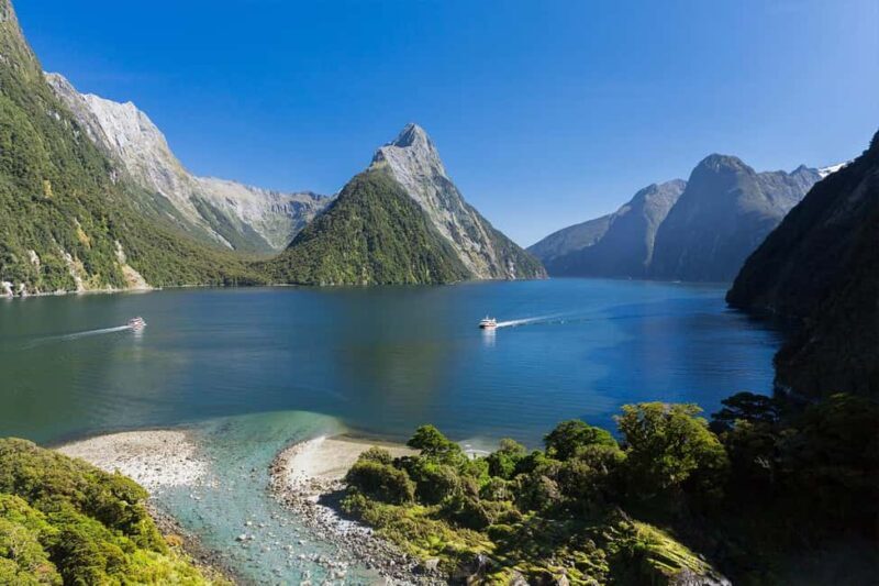 Milford Sound: Nature Cruise & Milford Track Walk - Introducing this All-in-One Milford Sound Experience