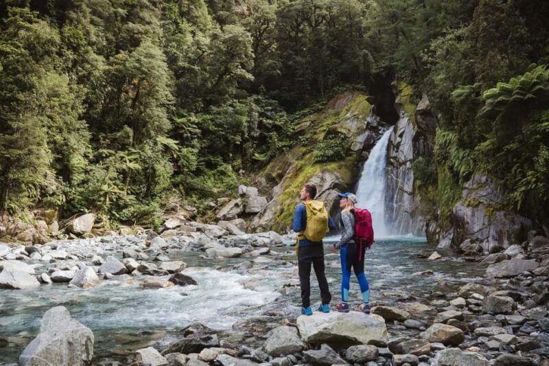 Milford Sound: Nature Cruise & Milford Track Walk - The Value of This Milford Sound Tour