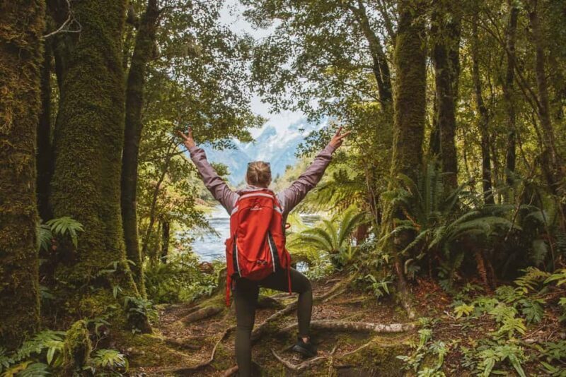 Milford Sound: Nature Cruise & Milford Track Walk - Who Will Love This Tour?