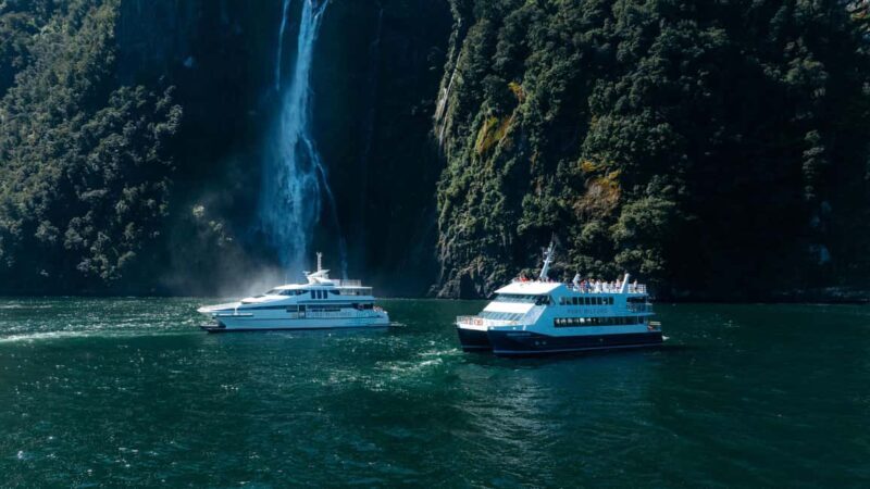 Milford Sound: Nature Cruise on a Modern Catamaran - Key Points