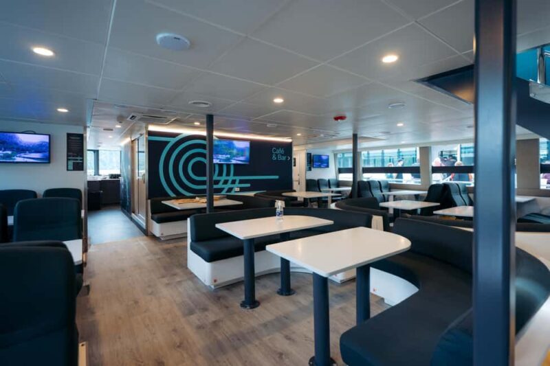 Milford Sound: Nature Cruise on a Modern Catamaran - Who Will Love This Experience?