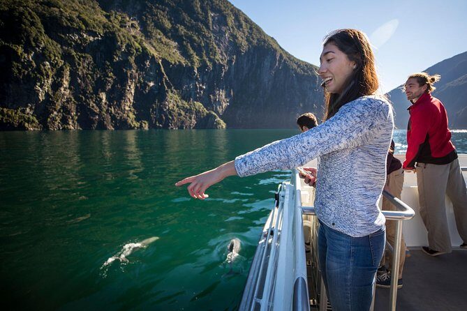 Milford Sound Nature Cruise with Southern Discoveries - Introduction