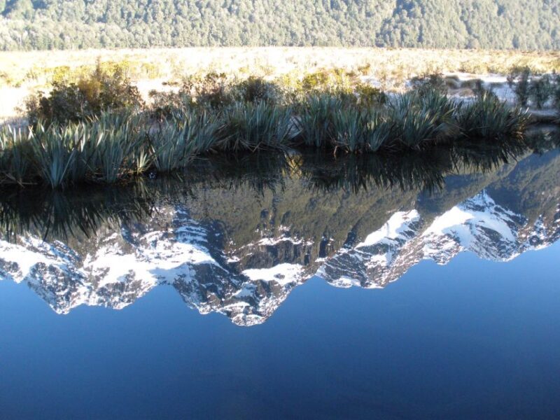 Milford Sound Premium Day Tour and Cruise from Te Anau - A Detailed Look at the Milford Sound Premium Day Tour