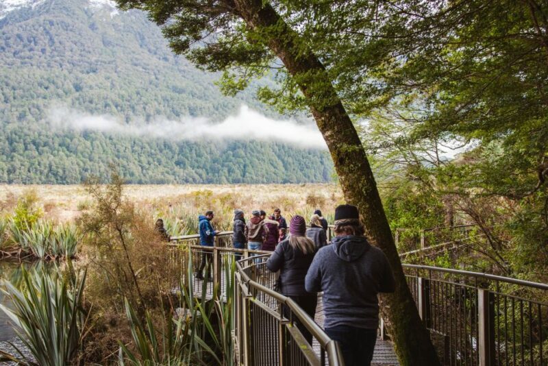 Milford Sound: Premium Small Group Tour from Queenstown - Value for Money