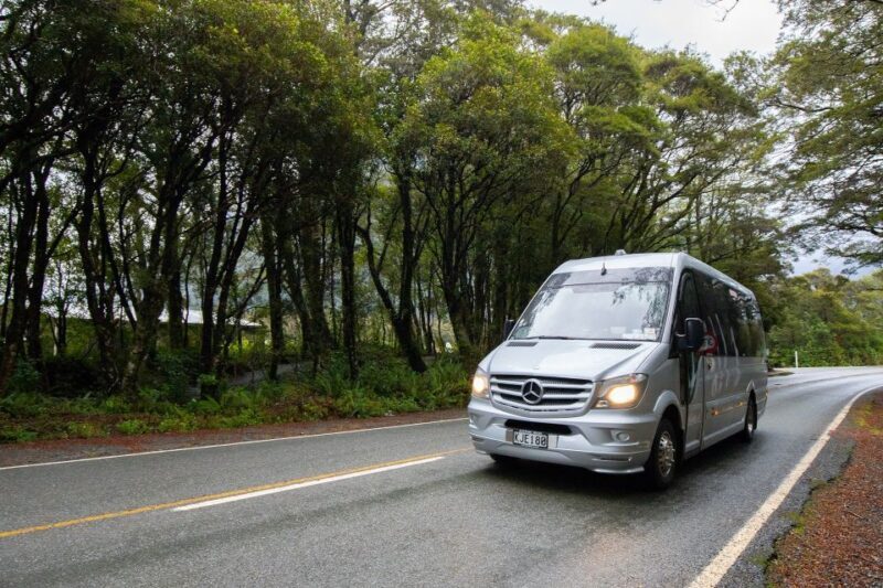 Milford Sound: Premium Small Group Tour from Queenstown - Weather Considerations