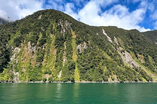 Milford Sound Private Day Trip from Queenstown via Te Anau - Who Is This Tour Best For?