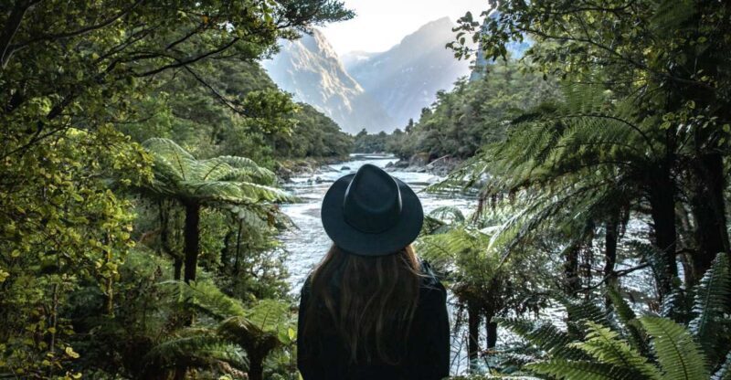 Milford Sound: Self-Guided Milford Track Day Walk - Key Points
