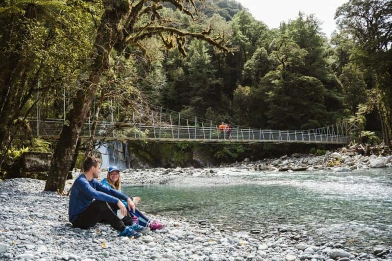Milford Sound: Self-Guided Milford Track Day Walk - Who Will Love This Experience?