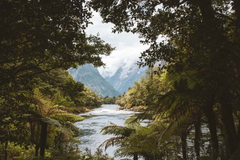 Milford Sound: Self-Guided Milford Track Day Walk - The Sum Up