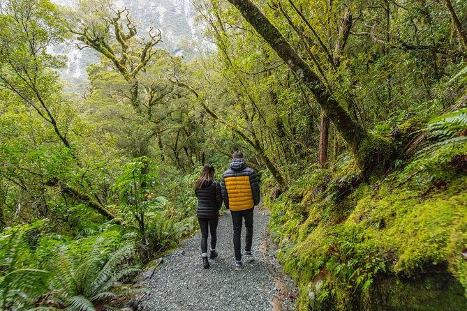 Milford Sound Small Group Tour from Queenstown with Scenic Flight - FAQs