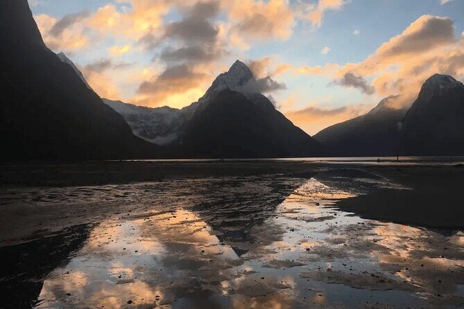 Milford Sound Tour from Queenstown with Scenic Cruise - An In-Depth Look at the Milford Sound Tour